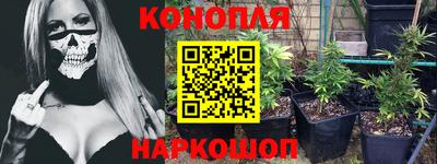 крисы Свободный