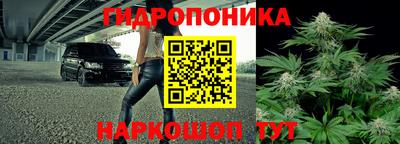 a pvp Севастополь