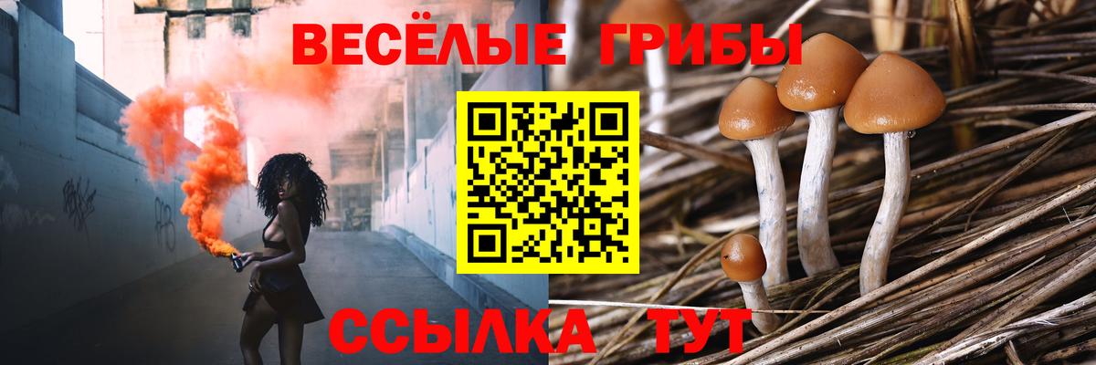 Галлюциногенные грибы MAGIC MUSHROOMS  Галлюциногенные грибы ЛСД  Дальнегорск  Вход с VPN 